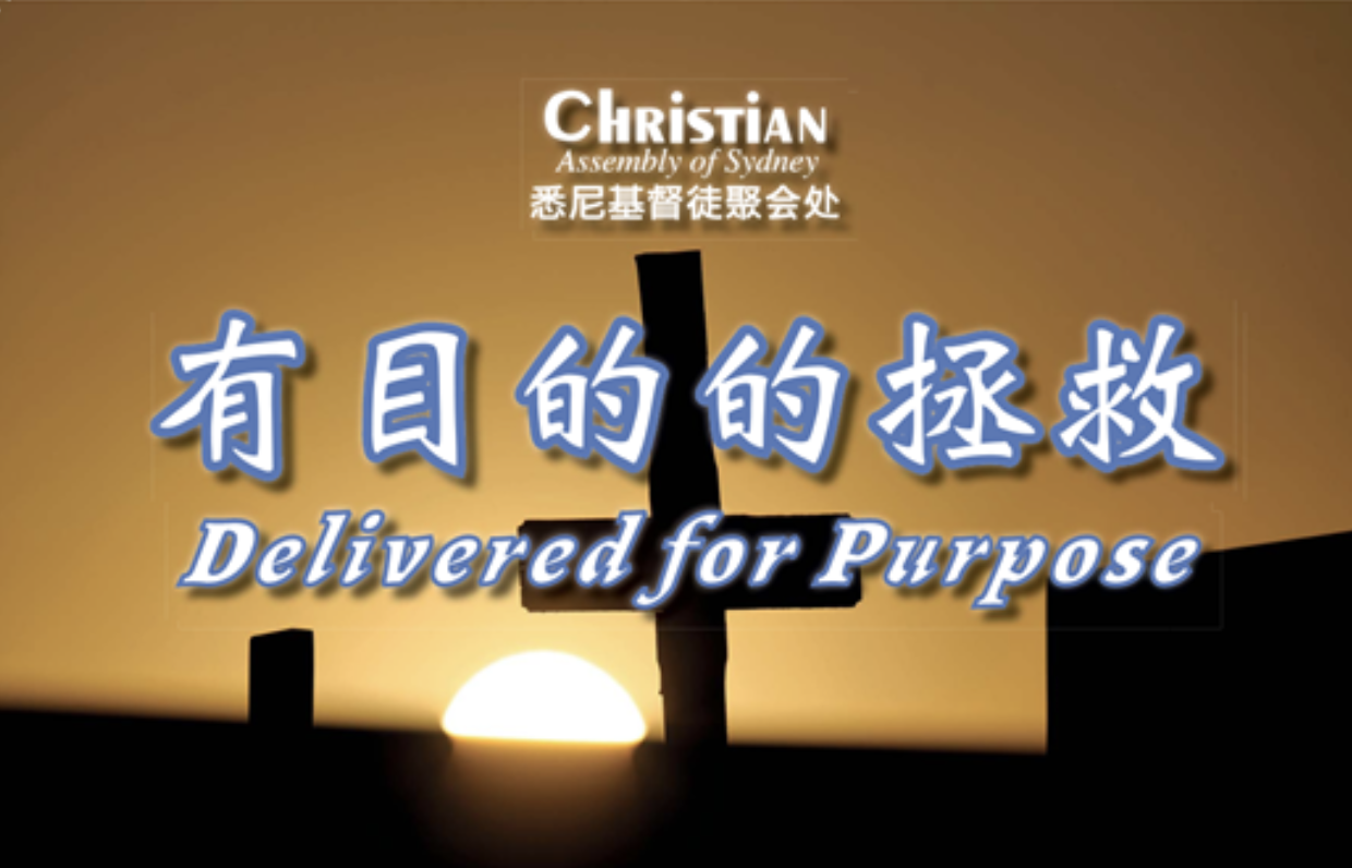 有目的的拯救 (Delivered for Purpose)